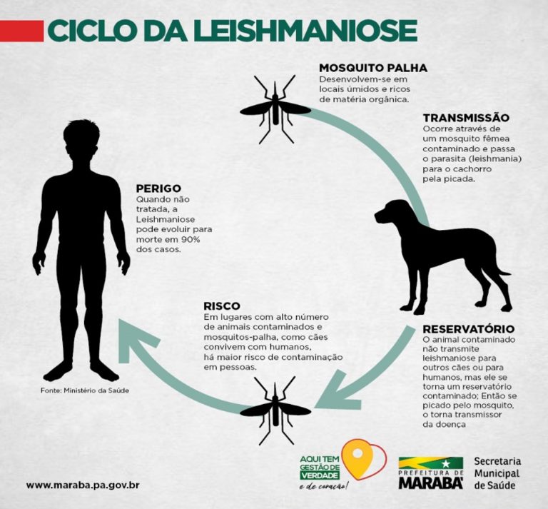 08 a 15 8 Semana Nacional de Controle e Combate à Leishmaniose