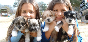 Foto de duas meninas cada uma com dois filhotes de cachorro no colo