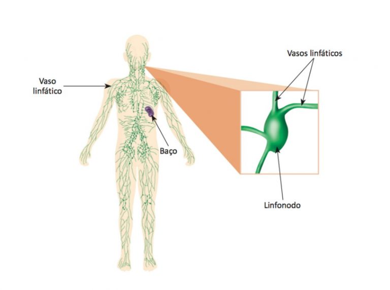 15/9 – Dia Mundial de Conscientização Sobre Linfomas | Biblioteca ...